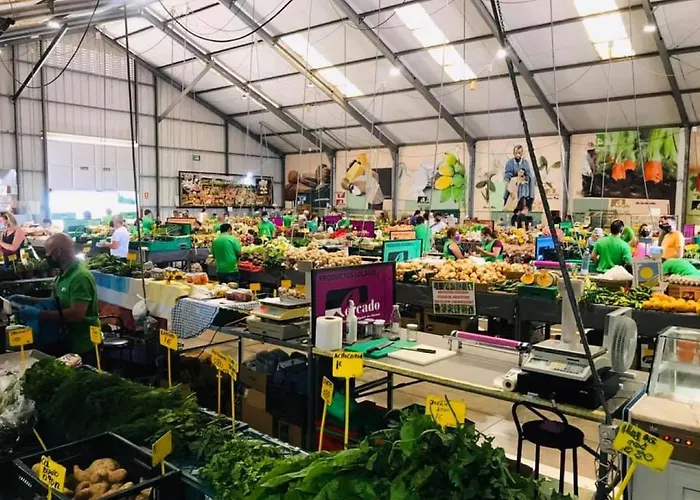 La Casa Amarilla * San Miguel de Abona