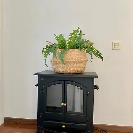 La Casa Amarilla * 圣米格尔德阿沃纳